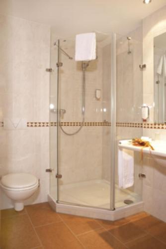 a bathroom with a shower with a toilet and a sink at Waldhotel Nachtigall in Paderborn