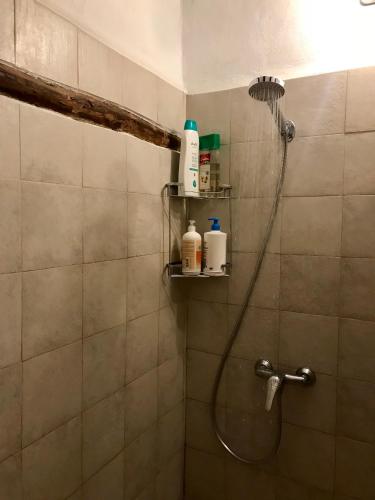 a shower with a shower head in a bathroom at El Portal de Moratalla in Moratalla
