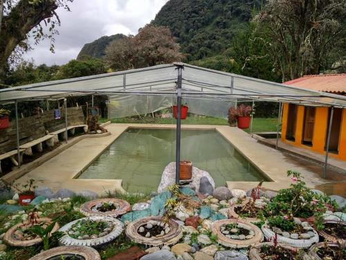 a swimming pool with a greenhouse and some plants at Termas El Pantanal in Papallacta