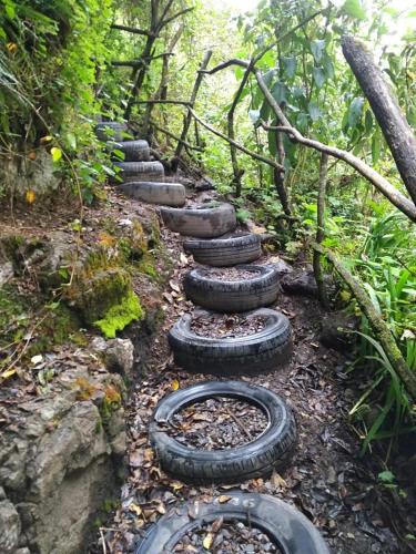 a group of tires on a trail in the woods at Termas El Pantanal in Papallacta