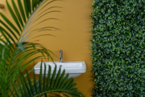a bathroom with a green plant next to a toilet at The Bull Boutique Hotel in Puducherry