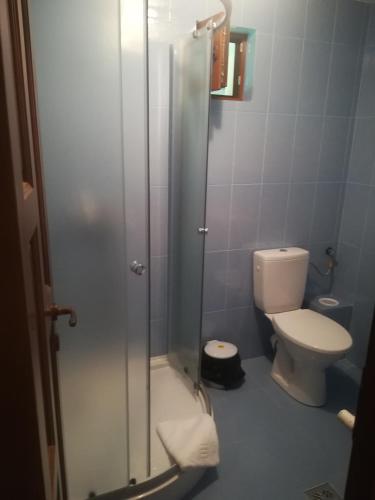 a bathroom with a toilet and a glass shower at Pensiunea Muntele Gaina in Tîrsa
