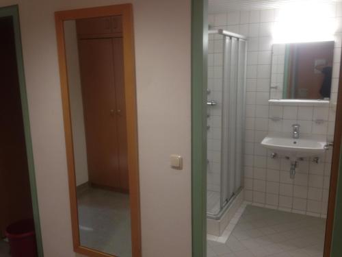 a bathroom with a sink and a toilet and a mirror at Hostel Obertrum in Obertrum am See