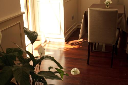 a room with a table and a chair and a plant at Albergo Accademia in Trento