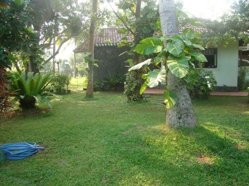 Un jardín fuera de Villa Shade