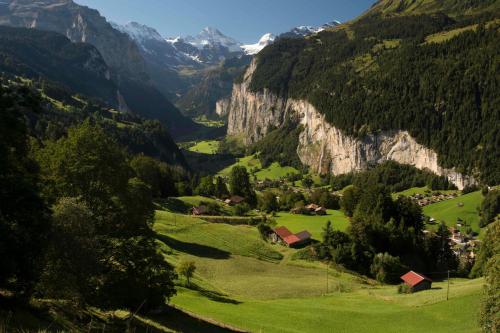 a valley in the mountains with green grass and trees at O 68 Haus Bel Air in Wengen