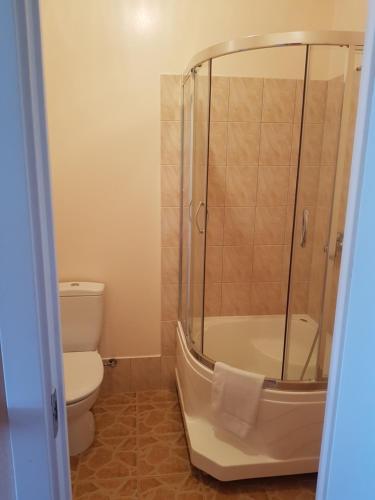 a bathroom with a shower and a toilet at Aitiņlauvas in Tīreļi