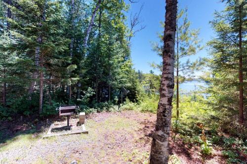 a bench sitting in the middle of a forest at Pebble Cove in The Highlands