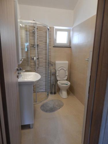 a bathroom with a shower and a toilet and a sink at Apartmani Luka in Grebaštica