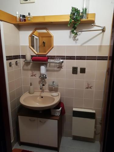 a bathroom with a sink and a mirror at Chalupa Buko in Červený Kostelec