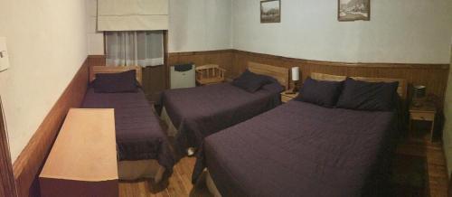 three beds in a room with purple beds at Hostal Chalet Las Violetas in Punta Arenas