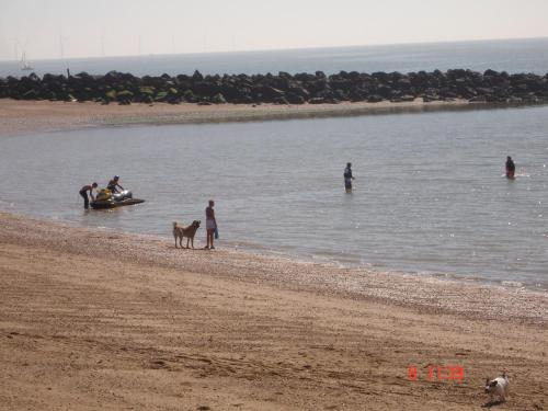 A beach at or near the vacation home 