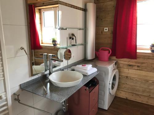 y baño con lavabo y lavadora. en Apartment Wohlesser, en Neumarkt in Steiermark