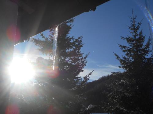 a view of the sun shining between two trees at I "Giardin" in Crissolo