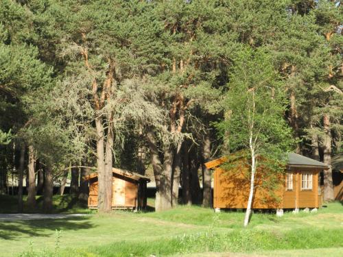 a wooden cabin in a field with trees at Toftemo Turiststasjon in Dovre