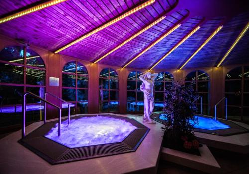 a woman standing in a hot tub in a room with purple lights at Hotel Astoria in Arosa