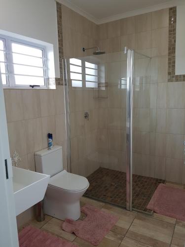 a bathroom with a shower and a toilet and a sink at Graceland Guesthouse in Potchefstroom