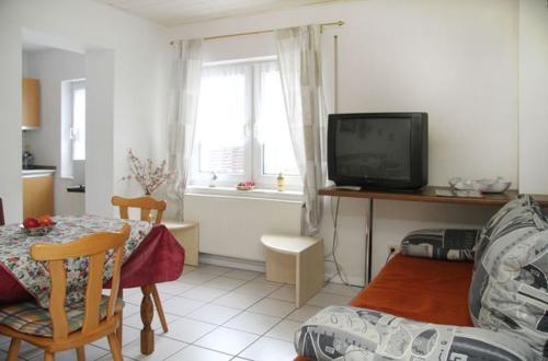 a living room with a television and a table with a couch at Appartements & Ferienwohnungen Wolf in Usingen