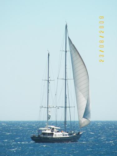 a boat with a white sail in the ocean at Theoxenia Chios Apartments in Paralia Agias Foteinis