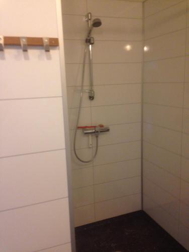 uma casa de banho com chuveiro e cabeça de chuveiro em Malenes Ferieleiligheter em Rauland