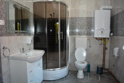a bathroom with a shower and a toilet and a sink at Deltix Apartments in Vršac