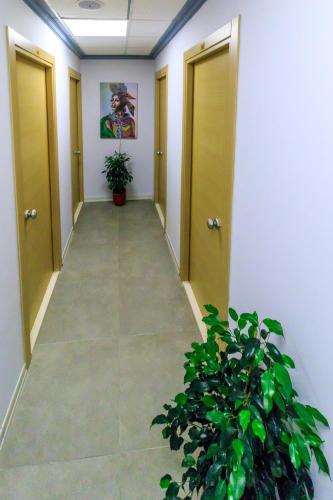 a corridor of an office with doors and a plant at Nar Palace in Istanbul