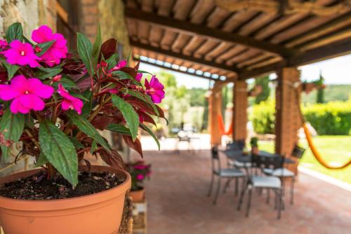 a potted plant with pink flowers on a patio at Agriturismo Pian del Vescovo in Massa Marittima