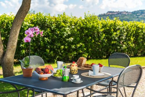 a blue table with a bowl of fruit on it at Agriturismo Pian del Vescovo in Massa Marittima