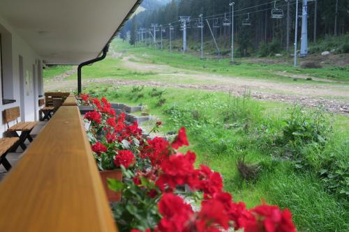 a row of red flowers sitting on a porch at Apartmany Biela Put - Veverica in Belá