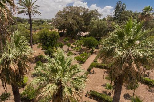an aerial view of a garden with palm trees at Villa le Torri B&B in Trapani