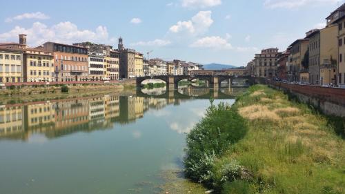 Medici Soderini photo 53