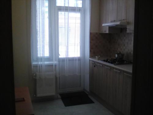 a kitchen with a door leading to a window at Mineralna Apartment 49 in Irpin'