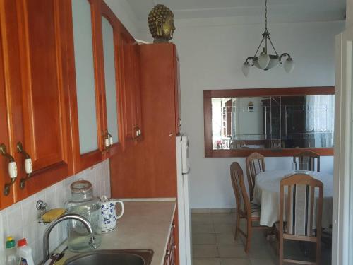 a kitchen with a sink and a kitchen with a table at Villa Royal in Cetinje