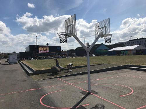 a basketball hoop with a person and a dog on it at Villa Wiegand - a room with a view in Holbæk