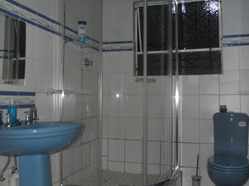 a bathroom with a shower and a sink and a toilet at Noble Hearts Bed & Breakfast in Maseru