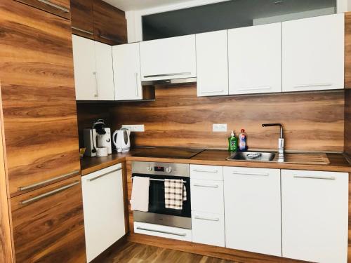 テプリツェにあるJenys Apartmentの白いキャビネットと木製の壁が備わるキッチン