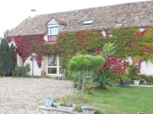 a house covered in ivy with plants on it at Ferme les Rousseaux in La Belliole