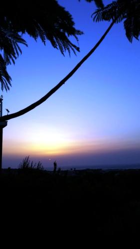 a sunset in the sky with a silhouette of a tree at Alexandra Homestay in Kalavárda