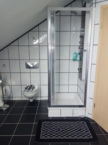 a bathroom with a shower and a toilet at Ferienwohnung Henry im schönen Allgäu in Westendorf