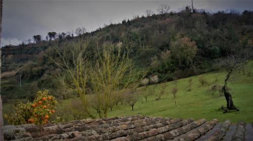 Paisaje cerca de este agroturismo