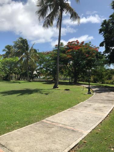 a sidewalk in a park with palm trees and grass at Kazalou in Saint-François