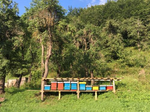 Gallery image of Guest House Ulaj in Vusanje