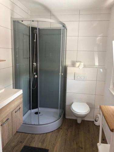 a bathroom with a shower and a toilet at ZUM BAHNHÖFLE Restaurant & Hotel - Albbruck Am Rhein in Albbruck