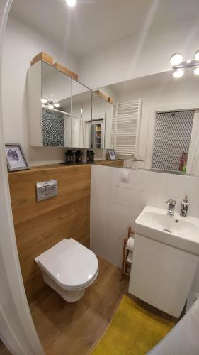 a bathroom with a white toilet and a sink at Apartament Centrum in Augustów