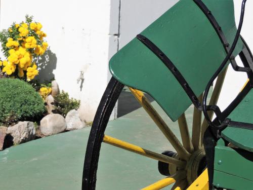 a green bench sitting in front of some flowers at IRUPÉ APART HOTEL in Federación