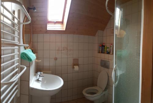 a bathroom with a toilet and a sink at Chatka na Skalnej in Karpacz