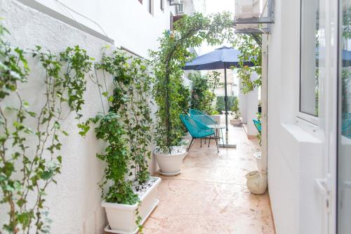 Zahrada ubytování Villa DiEden