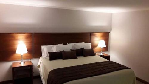 a hotel room with a large bed with two lamps at Hotel D&V Concepción in Concepción