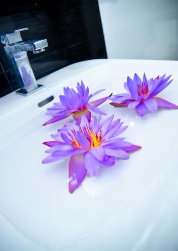 three purple flowers sitting on top of a sink at Ayubowan Holiday Home in Kandy