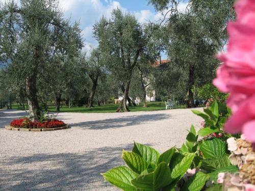 Zahrada ubytování Hotel Zanetti